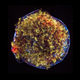 Illustration for article titled All the most amazing supernovas ever photographed